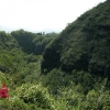 Distant view of Opaeka'a Falls